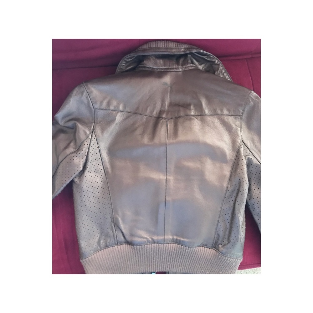 Metallic Leather Puma Jacket - Picture 5 of 6